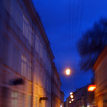 PA131263-1.jpg
