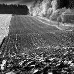 Rudens darbai