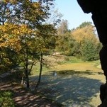Viena_grazu_rudens_savaitgali__6.jpg