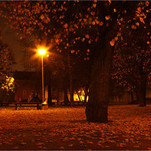 Naktinėjant po rudenį