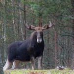 IMG_5661.JPG