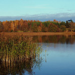 PA242766-1.jpg
