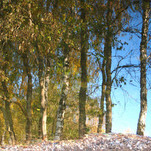 PA242771-1.jpg