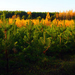 PA242780-1.jpg