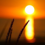 IMG_3398.JPG