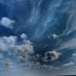 01101459-1.jpg