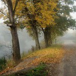 golden autumn