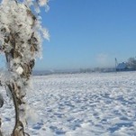 IMG_0507.jpg