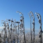 IMG_0486.jpg