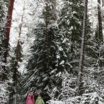 IMG_1025_cr.jpg