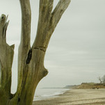 Picture_3.jpg