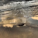 PC113144-2.jpg